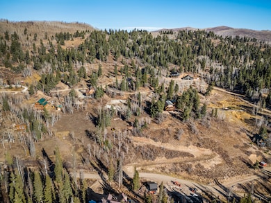 1678 W Alexander Canyon Rd unit D-92, Coalville, UT 84017 - photo 5