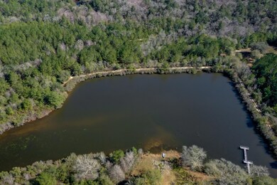6101 Lake Ella Road Drone 03