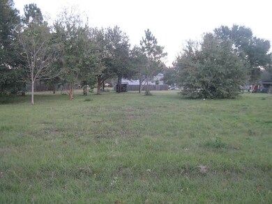 73 Fulton Dr, Alvin, TX 77511 - photo 7