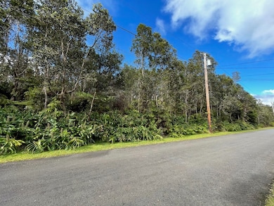 0 First St unit 725813, Volcano, HI 96785 - photo 3