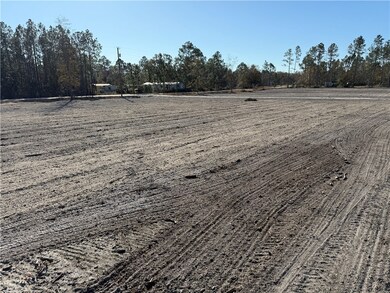 Lot 3 Smith Ln, Waycross, GA 31503 - photo 4