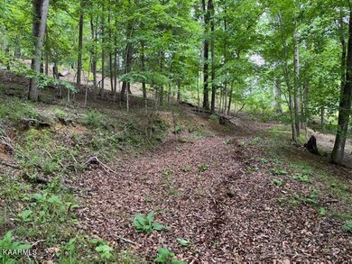 deer run circle david 4