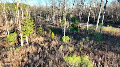 0 Mouse Tail Rd unit 1323770, Parsons, TN 38363 - photo 7