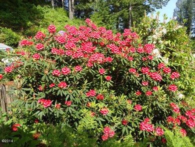 beautiful Rhody's