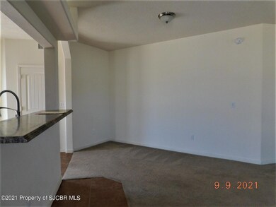 28 County Road 3791, Farmington, NM 87401 - photo 3