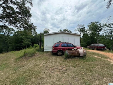 3917 County Road 1113, Troy, AL 36079 - photo 3