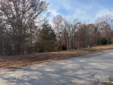 90 Chestertown Dr unit 90, Mill Spring, NC 28756 - photo 2