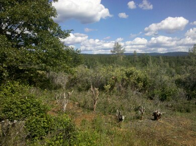 Grindlay Mt Lassen