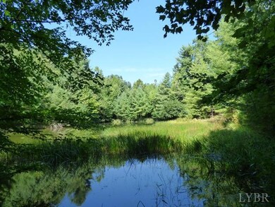 0 Pedlar River Rd unit 294062, Amherst, VA 24521 - photo 4