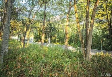 3107 Bouquet Rd, Glencoe, MO 63038 - photo 4