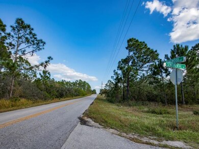 207 Sunnyside Dr, Lake Placid, FL 33852 - photo 6