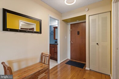 Lakeside Plaza Condominium unit 918, Baileys Crossroads, VA 22041 - photo 4