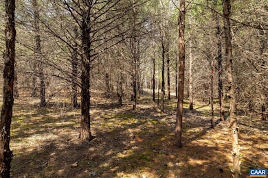 1280 Jones Overlook unit 53, Scottsville, VA 24562 - photo 3