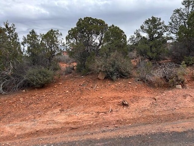 158 N Red Hill Rd, Central, UT 84722 - photo 6