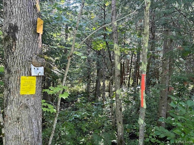 TBD Norlund Rd, Ironwood, MI 49938 - photo 7