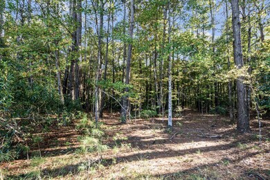 HFL_PLOW GROUND RD_30 ACRES-6