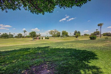 10014 W Highwood Ln, Sun City, AZ 85373 - photo 7