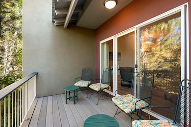 1140 Carbon Jct unit 24, Durango, CO 81301 - photo 6