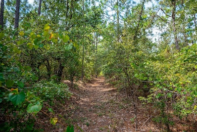 000 Fire Tower Rd, Aiken, SC 29803 - photo 2