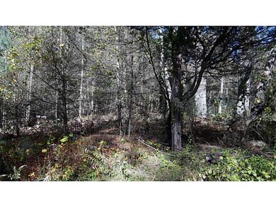 143 Sharpe St, West Greenwich, RI 02817 - photo 5