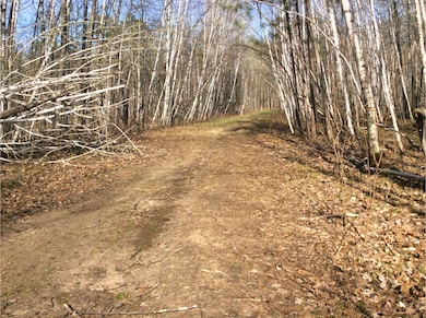 Delaware Trail, Breezy Point, MN 56472 - photo 3