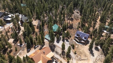 Aerial Image
