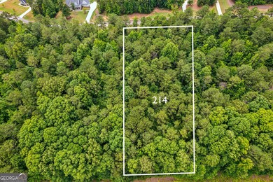 214 Crescent Dr, Forsyth, GA 31029 - photo 4