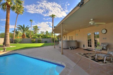backyard 1