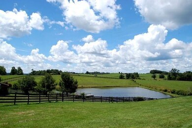 540 R - Pond view