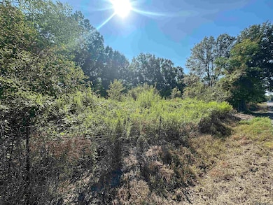 .31 Acres Rod Anderson Rd, St. Amant, LA 70774 - photo 2