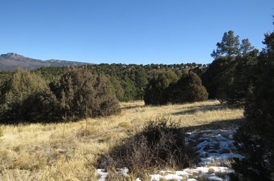 6218 Oak Park Dr unit 25, Trinidad, CO 81082 - photo 6