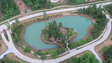 41 Seasonal Crest Cir, the Woodlands, TX 77375 - photo 6