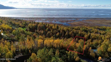 L10 Feodosia Dr, Anchorage, AK 99516 - photo 5