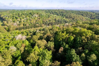 0 Twp Rd 629 & 3292 unit 227606, Loudonville, OH 44842 - photo 3