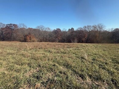 0 NE Mt Olivet Rd unit HMS2588486, Smithville, MO 64089 - photo 4