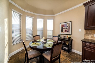 25946 Natal Plum, San Antonio, TX 78261 - photo 6