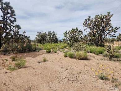 Lot view looking to the North from the corner lot