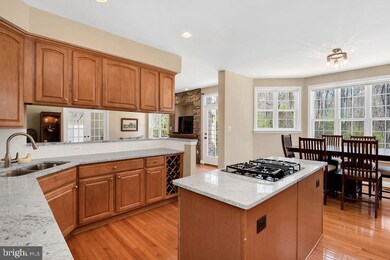 19722 Lovella Country Ct, Purcellville, VA 20132 - photo 6