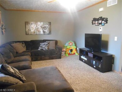 Living Room with New Carpet