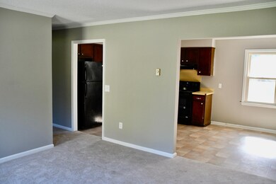 330 Jeanette St, Winterville, NC 28590 - photo 4