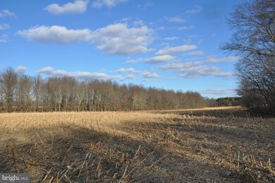 0 Mountain Rd unit 1000672231, Purcellville, VA 20132 - photo 6