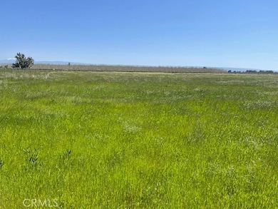 0 El Camino Ave unit SN25085704, Gerber, CA 96035 - photo 6