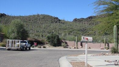 The Street Scene