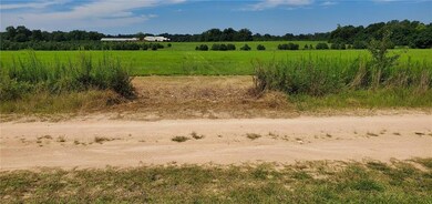 View of nature with rural landscape
