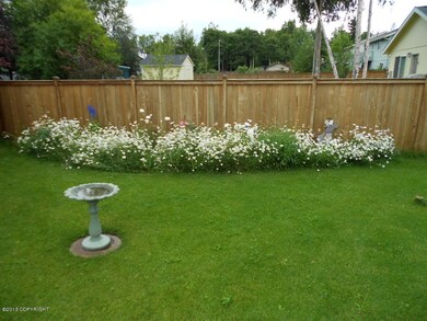 Backyard Pic 1