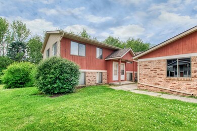 Circle Shore 4753-2