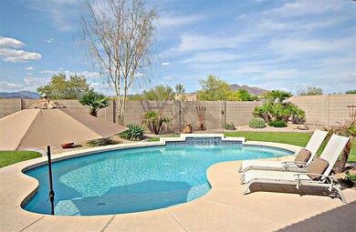 Backyard 11