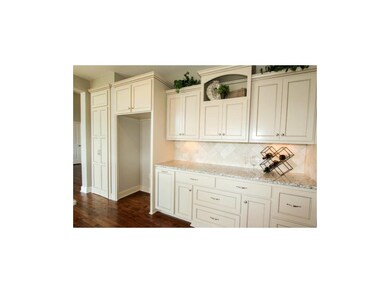 KITCHEN CABINETRY WITH WALK IN PANTRY TO LEFT OF R