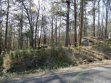 Lot 13 Lookout Dr, Fairfield Bay, AR 72088 - photo 2