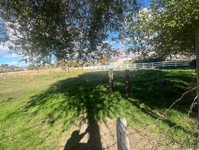 View of yard featuring a view of rural / pastoral area